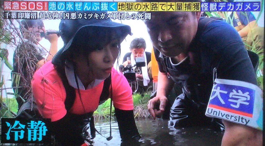 ｼｹﾞ On Twitter 1日1志津香 大家志津香 マニアックな層に刺され 緊急sos池の水ぜんぶ抜く大作戦 地獄の水路で大量捕獲 巨大怪獣デカガメラ 田村淳 田中直樹 大家志津香 稲村亜美 あばれるさん見てますか 私の方が池の水の女王 ちょっと 2019年6月16日
