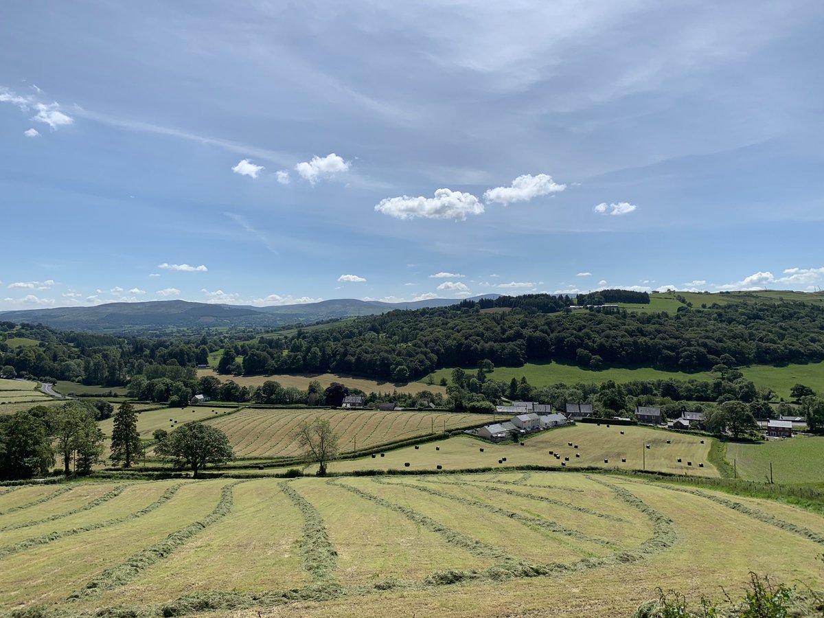 DafyddJonesBSc's tweet photo. Busy few days, 260 bales off 30 acres stacked and ready for the winter, swedes drilled in time for the rain. Gains of rotational grazing evident with quick returns, reducing the need to buy in additional forage, usually 90t of hay/year. #grassgrowsgrass #fusion #precisiongraze https://t.co/zMlG0wMWoW