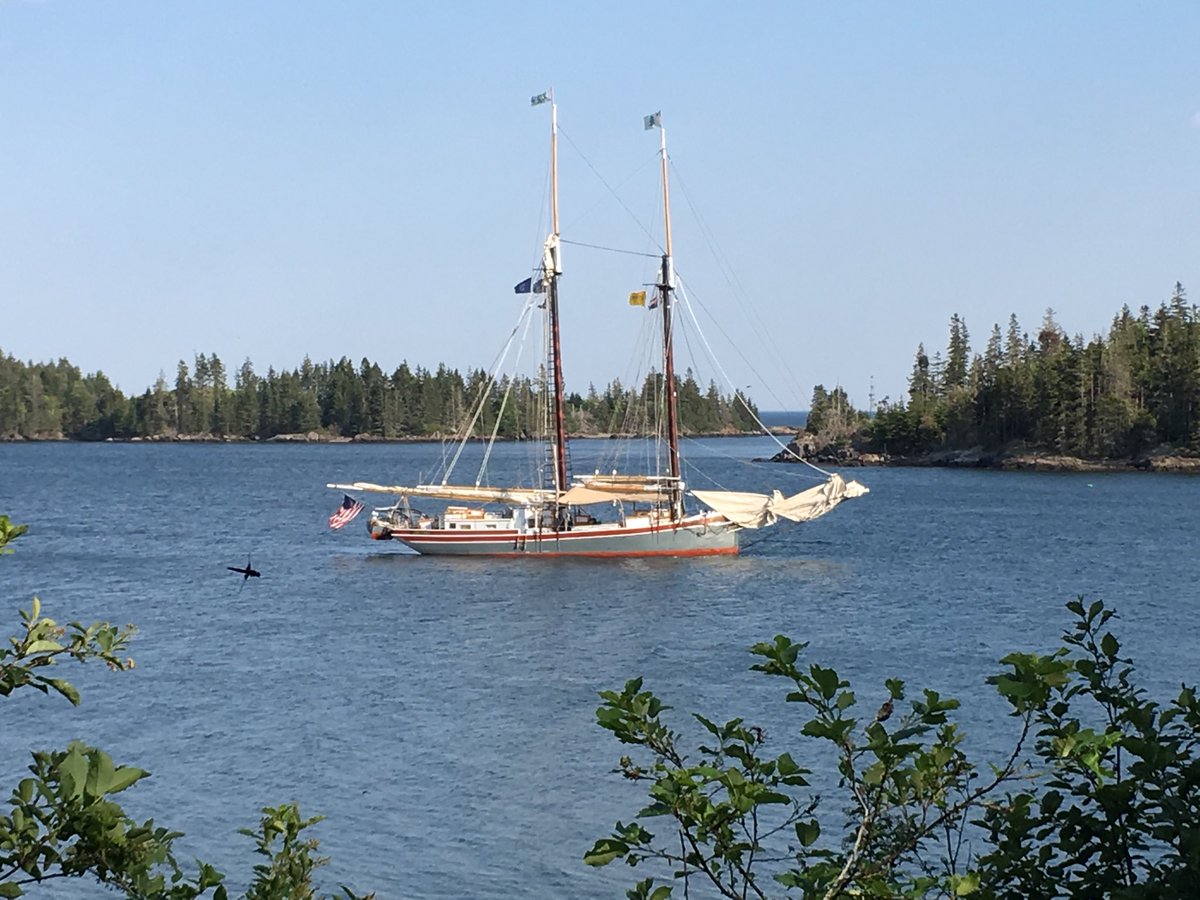 Schooner Lewis R. French Maine Sailing Vacations & Windjammer Cruises