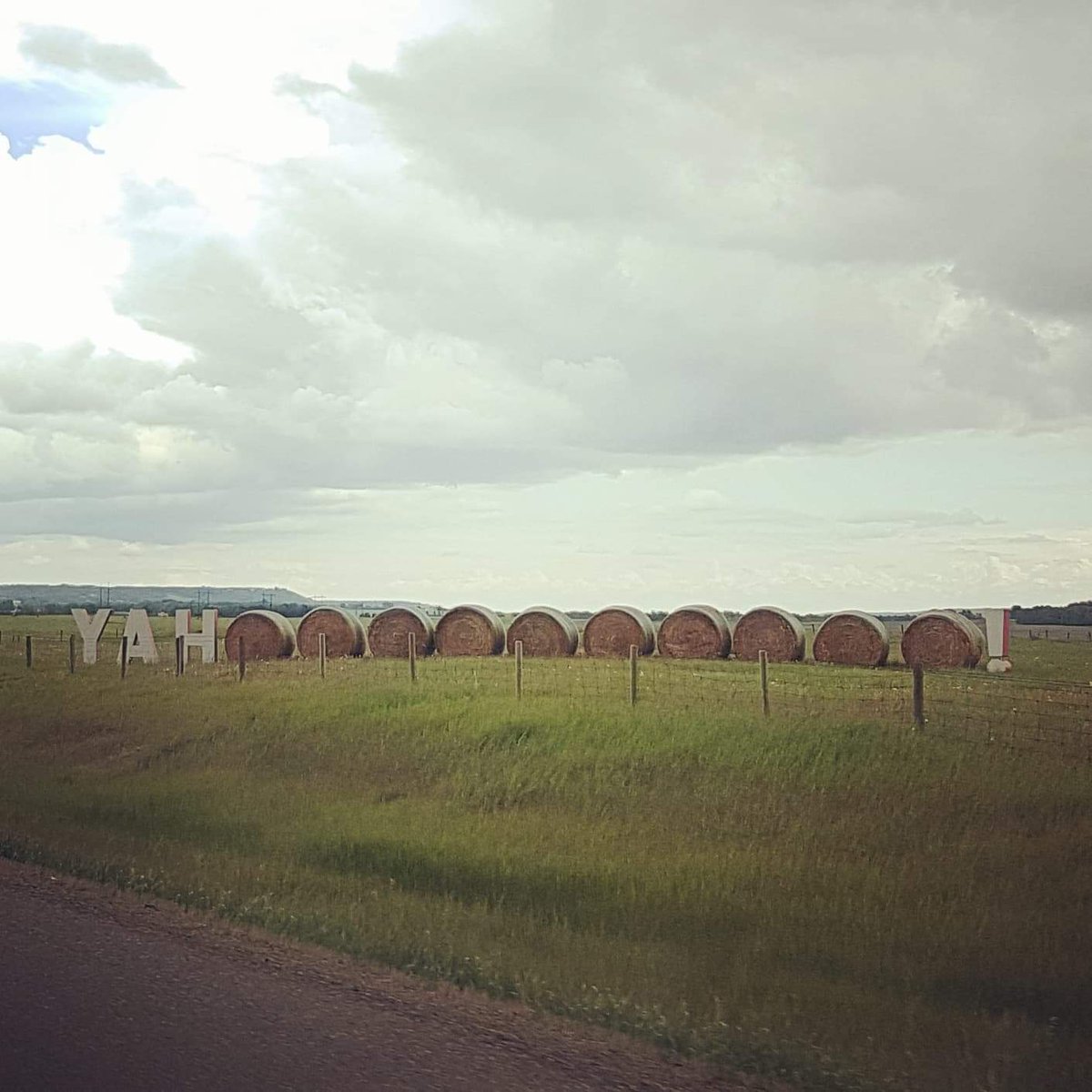 walktheyyc's tweet photo. It's the most wonderful time of the year! 🎶 🐎 🍻 🏇 👩‍🌾 🇨🇦 @calgarystampede @nenshi @tourismcalgary @cityofcalgary @vicparkyyc @cowboyscalgary @albertatourism
#walktheyyc #ConnectWithCalgary #freewalkingtour #yyc #calgary #stampede #calgarystampede https://t.co/XmM2I9Cl6T