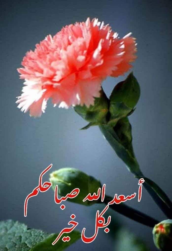 اللهم أنت ربي لا إله إلا أنت خلقتني وأنا عبدك وأنا على عهدك ووعدك ما استطعت أعوذ بك من شر ما ما صنعت و أبوء لك بنعمتك علي وأبوء بذنبي فاغفر لي فإنه لا يغفر الذنوب إلا أنت