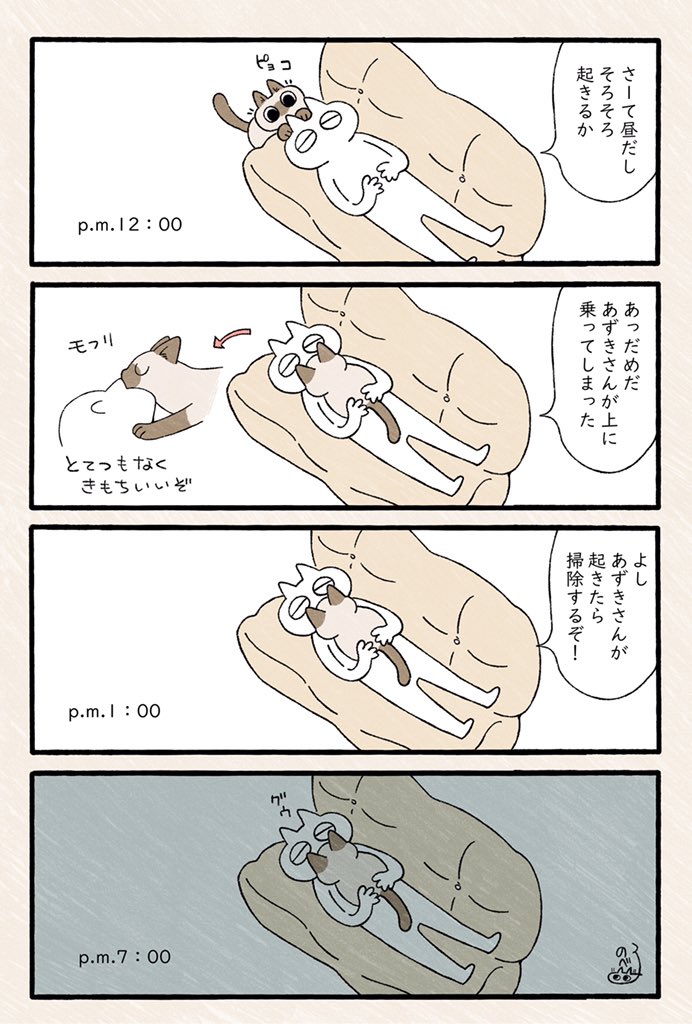 こうして夜型になる #ねこ日記 