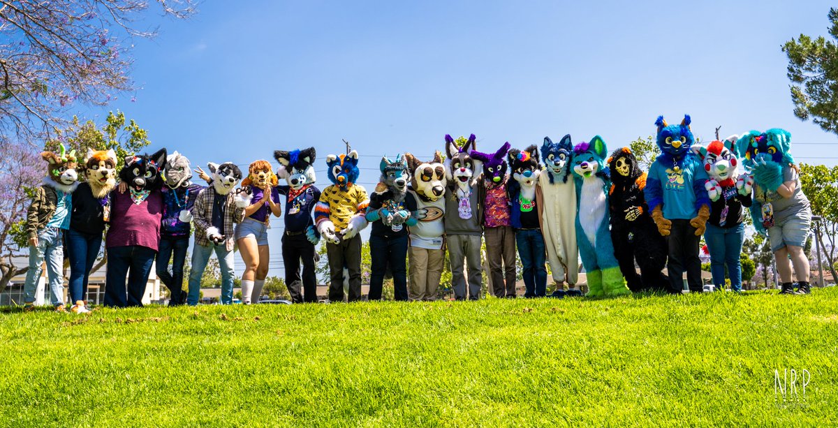 OCFurs's tweet photo. Pictures taken by the lovely @NocheRedPanda of our fursuiters! Axel would have snapped some shots too, but she had made a run to the store for more water! Made it back just in time for them to finish up and hydrate. Woo!

Thank you all again for such a great meet! https://t.co/oxl4dQhTC0