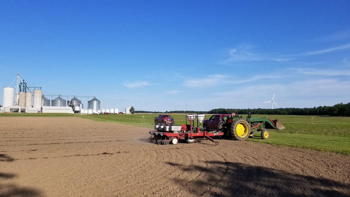VarnaGrain's tweet image. Great #soybeanplot day on #NOTMay Jun 23rd... #ontag #plant19