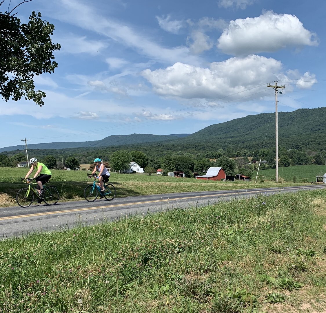 johnbanderson tweet media