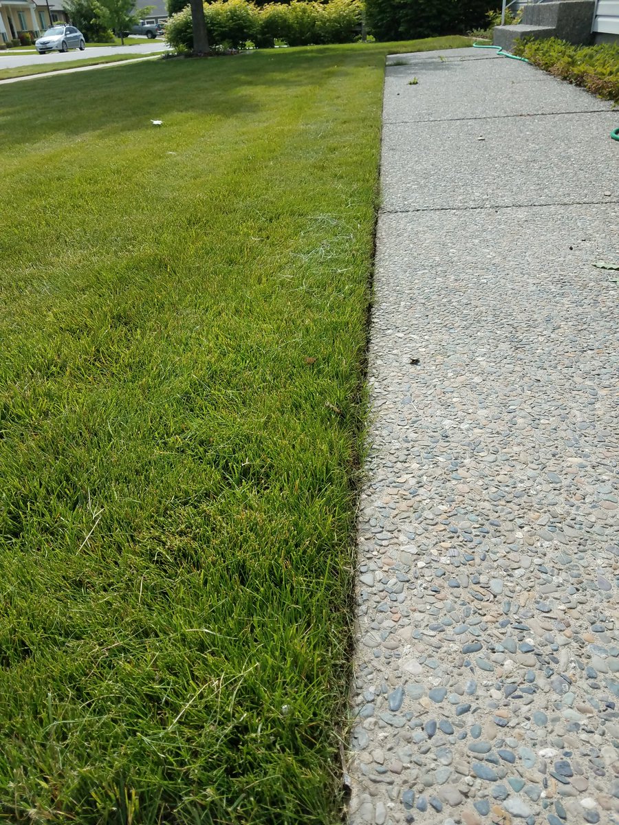 Straight lines even at home, I'm pretty sure I've been brainwashed by Home Depot.  #straightlines <a href="/JoynerChristina/">Christina Joyner</a> <a href="/JasonBallDM198/">Jason Ball DM198</a> <a href="/1803HD/">Home Depot 1803</a>