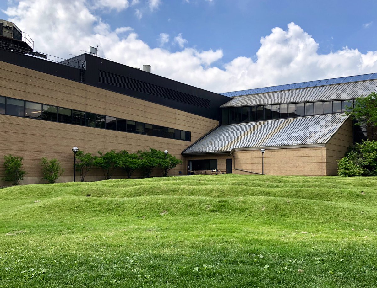 Maya Lin, Wave Field (1995)