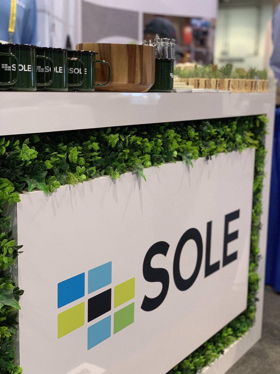 sole financial