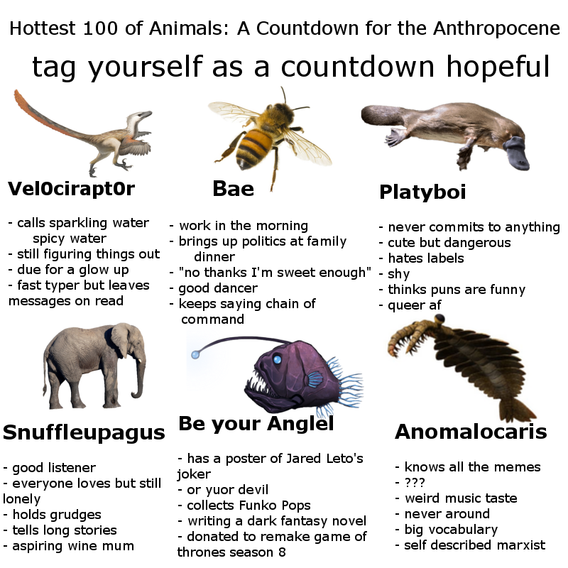 nlfharrison's tweet photo. Hottest 100 of Animals: A Countdown For The Anthropocene is just a couple of weeks away, and everybody is vying for a spot in the countdown

Tickets here: https://t.co/cE7OBtsirU
#bondifeast https://t.co/LrZwPaLiD8
