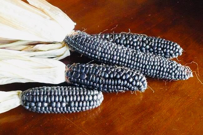 メキシコ大使館 メキシコには青いとうもろこし があります これで作るトルティーヤは最高に美味しいです ブルーコーンのタコス 皆さんも是非一度食べてみて下さい タコス メキシコ ブルーコーン メキシコ料理 無形文化遺産 食べてみたい
