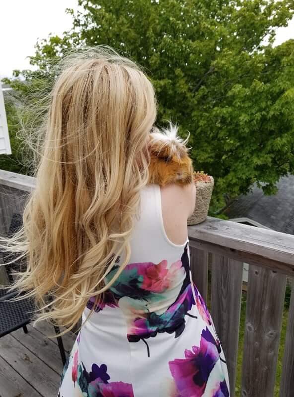 CheddarGP's tweet photo. Happy 8th birthday to our precious piggy, Shaggy 🎉🎂🎈🌼 6 years since we adopted Shaggy and Cheddar at age 2 and 1. Shaggy’s first birthday/gotcha day since Cheddar passed 💗 https://t.co/c4w30mcQuH