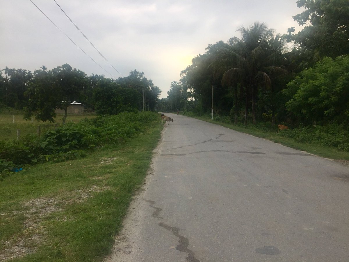 Jagdishb29's tweet image. #CommunityImmersion: Assam morning, Community days☺️😍