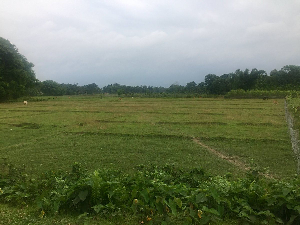 Jagdishb29's tweet image. #CommunityImmersion: Assam morning, Community days☺️😍