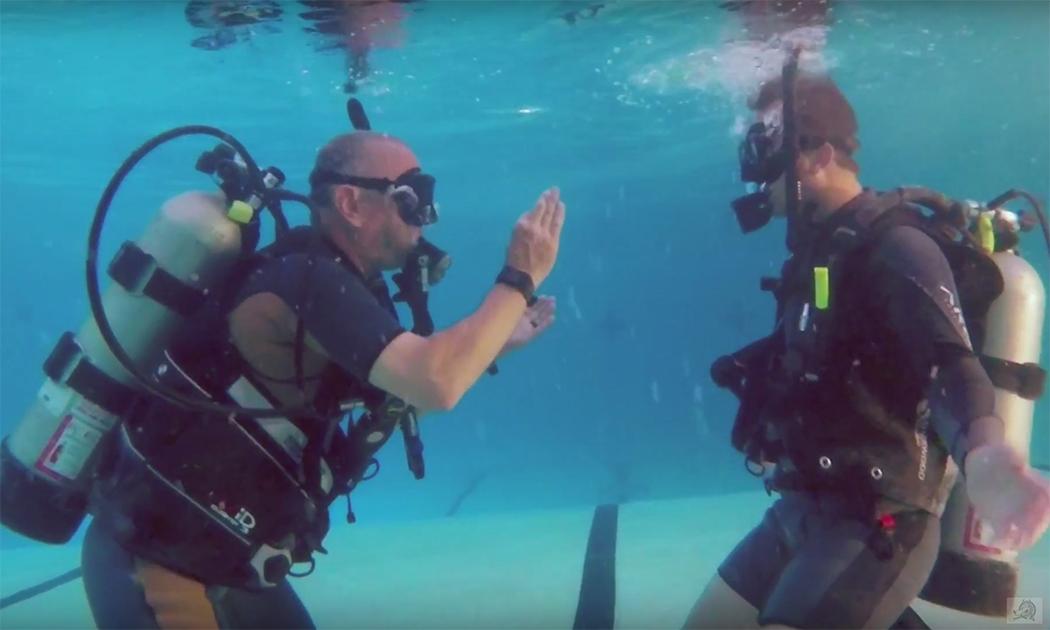 DivinDawgs's tweet photo. Our motto "We don't SELL certificates, we train divers." https://t.co/pdm7GnPZd7