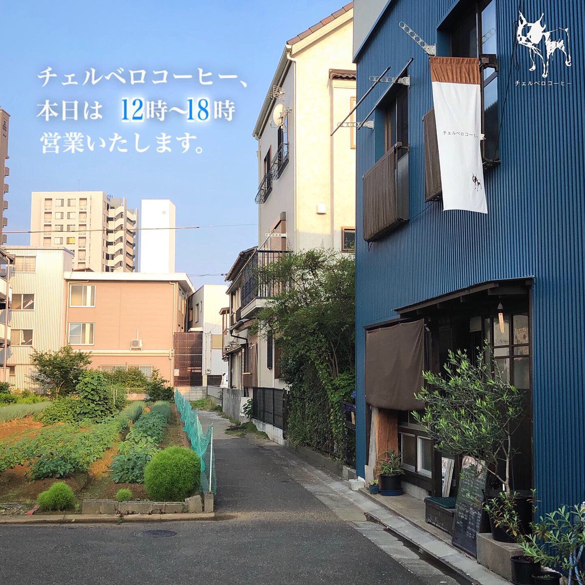 お布団犬 お布団犬