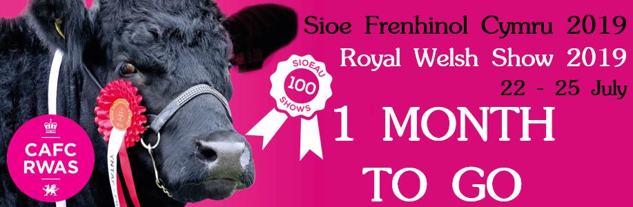 royalwelshshow's tweet photo. The 100th Royal Welsh Show is just 1 month away! Are you coming? https://t.co/LZ3JUOJ57R