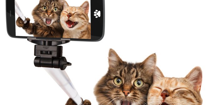 syncNscan's tweet photo. #Phone or #Pets?
Don't Worry, choose your pets. Because #syncNscan is here to safeguard your valuable #Smartphone and its data.
Visit now https://t.co/iuW72dNwL7
#MobileInsurance #MobileInsuranceIndia #AndroidPhone #AccidentalDamage #DataSecurity #LiquidDamage #TheftSecurity https://t.co/l1JWTigVEy