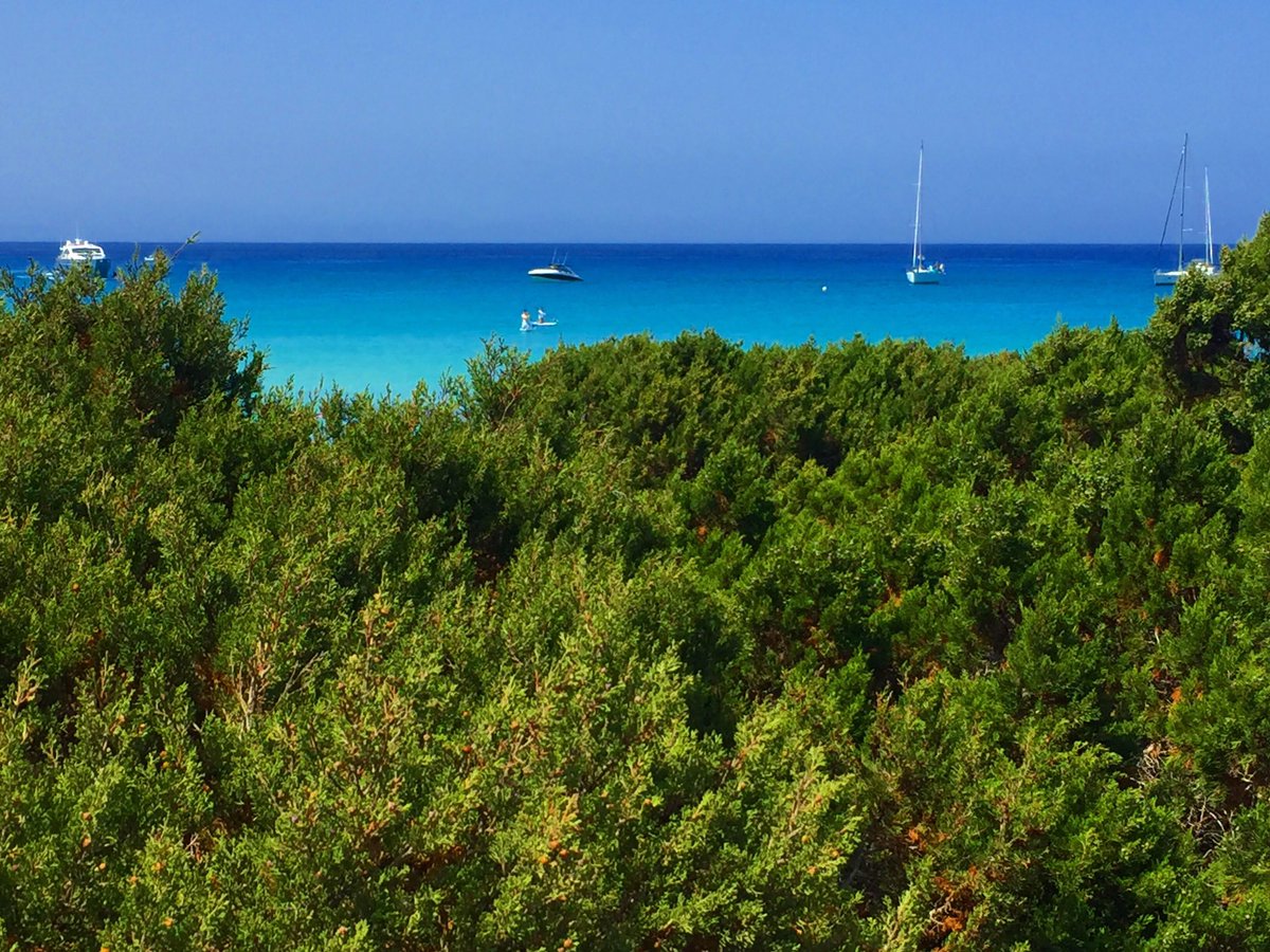 Nuestros veranos en A/V (azul y verde). #Formentera #lafotodeldía #escapada #vuelo #viajeros #travel #traveller #travelphoto #picture #pictureoftheday #photo #photooftheday #instagram #instagramers #instatravel #mochilero #paisaje <a href="/natgeo/">National Geographic</a> <a href="/natgeotravel/">Nat Geo Travel</a> @natgeocreative @scenesays