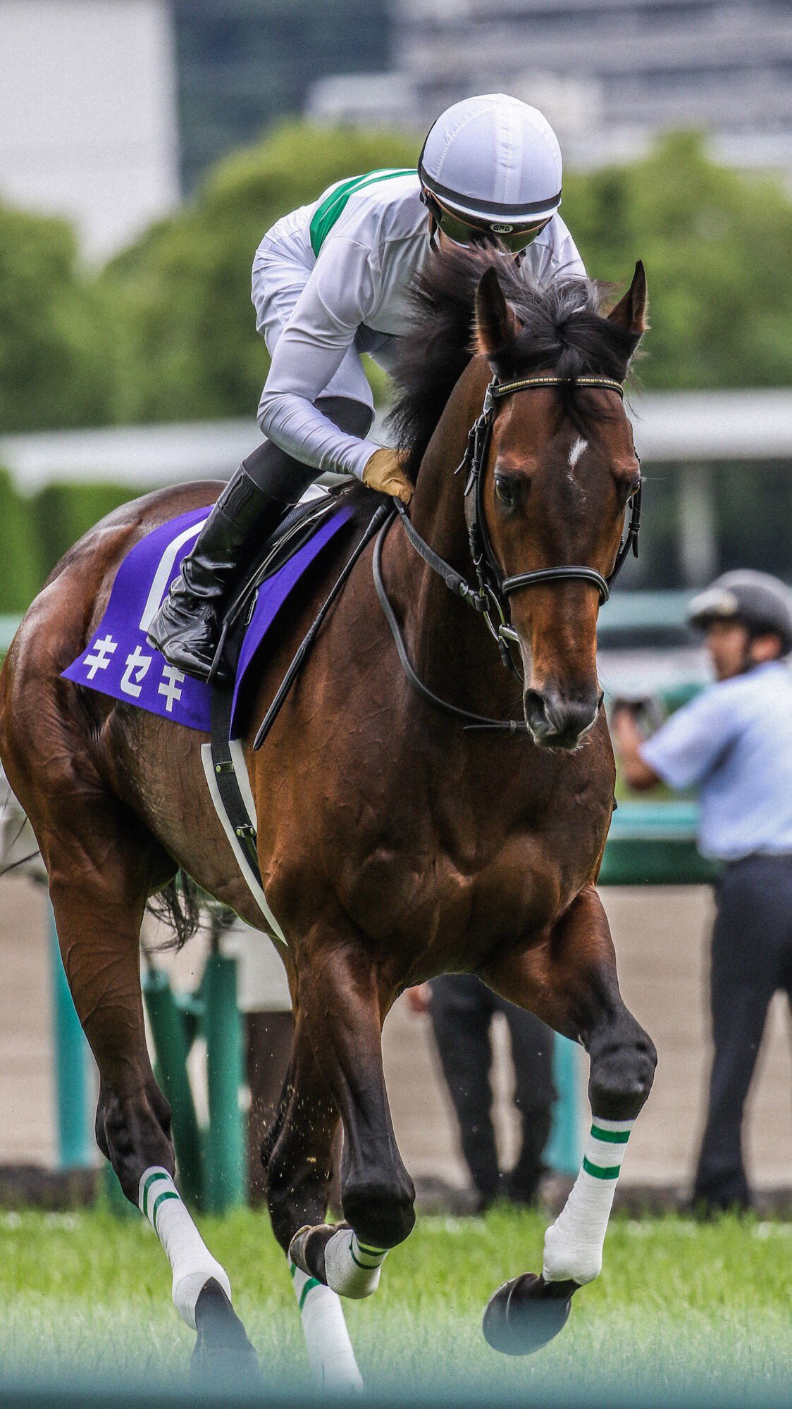 ゆーすけ 競馬写真 キセキ 待ち受けサイズです 少しアニメ感出した編集もしてます 是非どうぞ キセキのかっこよさ出てると思ってます T Co Oi60pal93j Twitter