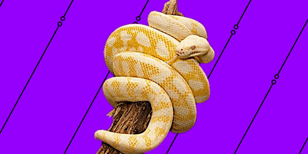 oregoncsta's tweet image. Don’t hate snakes! #Python is a great #CodingLanguage you can learn from the brilliant Don Kirkwood. But sign up soon Wilsonville #SuperQuest starts on Tuesday!
#CS4All #CyberSlither #programming
