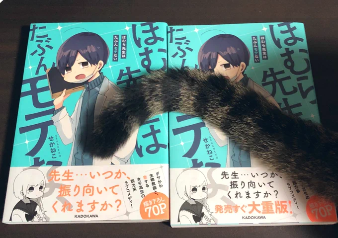 ほむら先生の重版分版が届いたー！?帯がちょっとちがうよー！初刷分(左)は重版分より部数が少ないのでレアですねー！っていう写真を撮りたかったのにー！！！怪獣がー！！！カワイイー！！！！ 