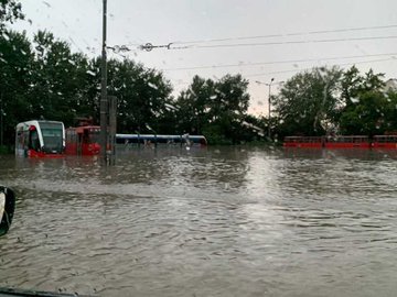 View image on Twitter