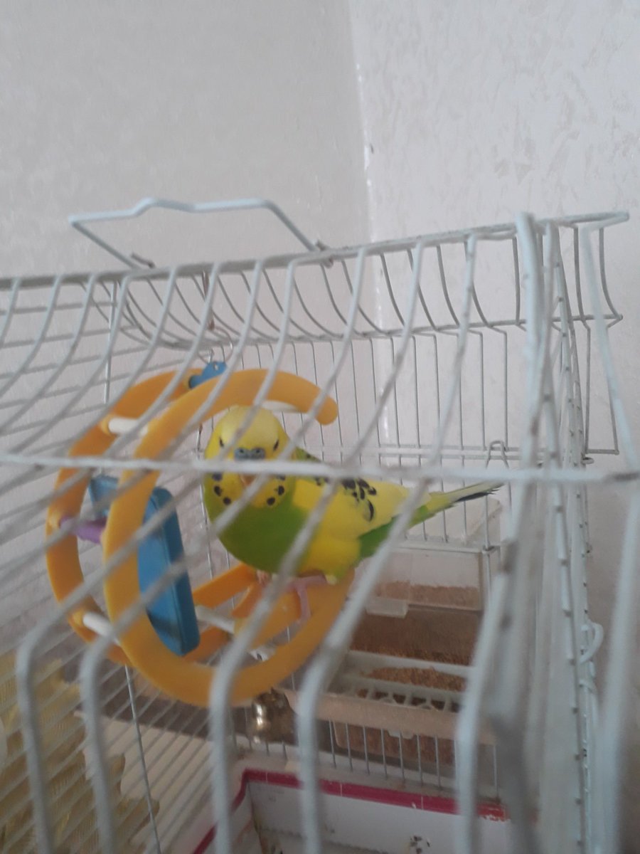 Ali Fırat (@alifrat90469724) on Twitter photo 