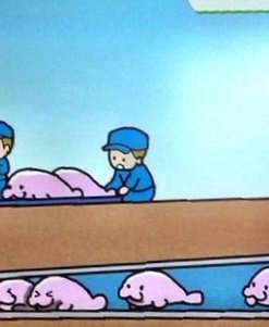 画像あり 排水管にマナティが詰まるって事件の可愛すぎるイメージ画像ｗｗｗｗｗｗｗｗｗ V速ニュップ