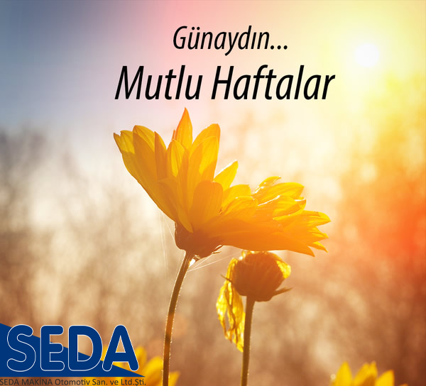 Seda Makina Otomotiv Ailesi Olarak İyi Haftalar ve Bol Kazançlar Dileriz...
sedaford.com #pazartesi #ford #yedek #parca #sedaford