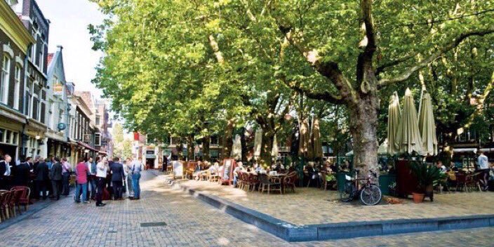 1 boom heeft met dit warme weer een koelvermogen van 20-30 kW, dat komt overeen met +/- 10 aircotoestellen #hittestress