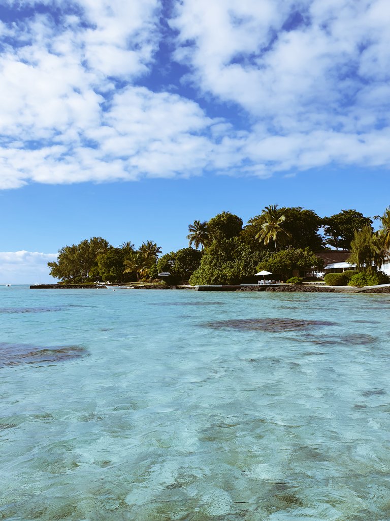 constaancestm's tweet photo. Je veux rester toute ma vie à l'île Maurice !! 🏝 https://t.co/cucWmfScU7