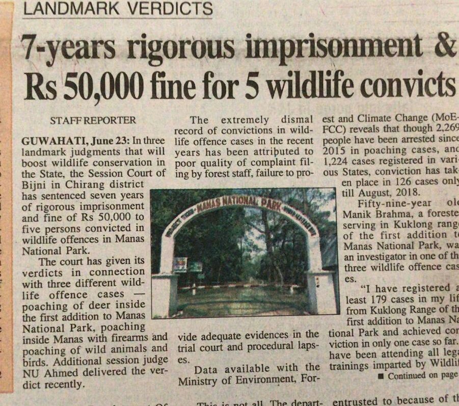 wildlife-trust-of-india-on-twitter-this-gr8-news-from-assam-comes