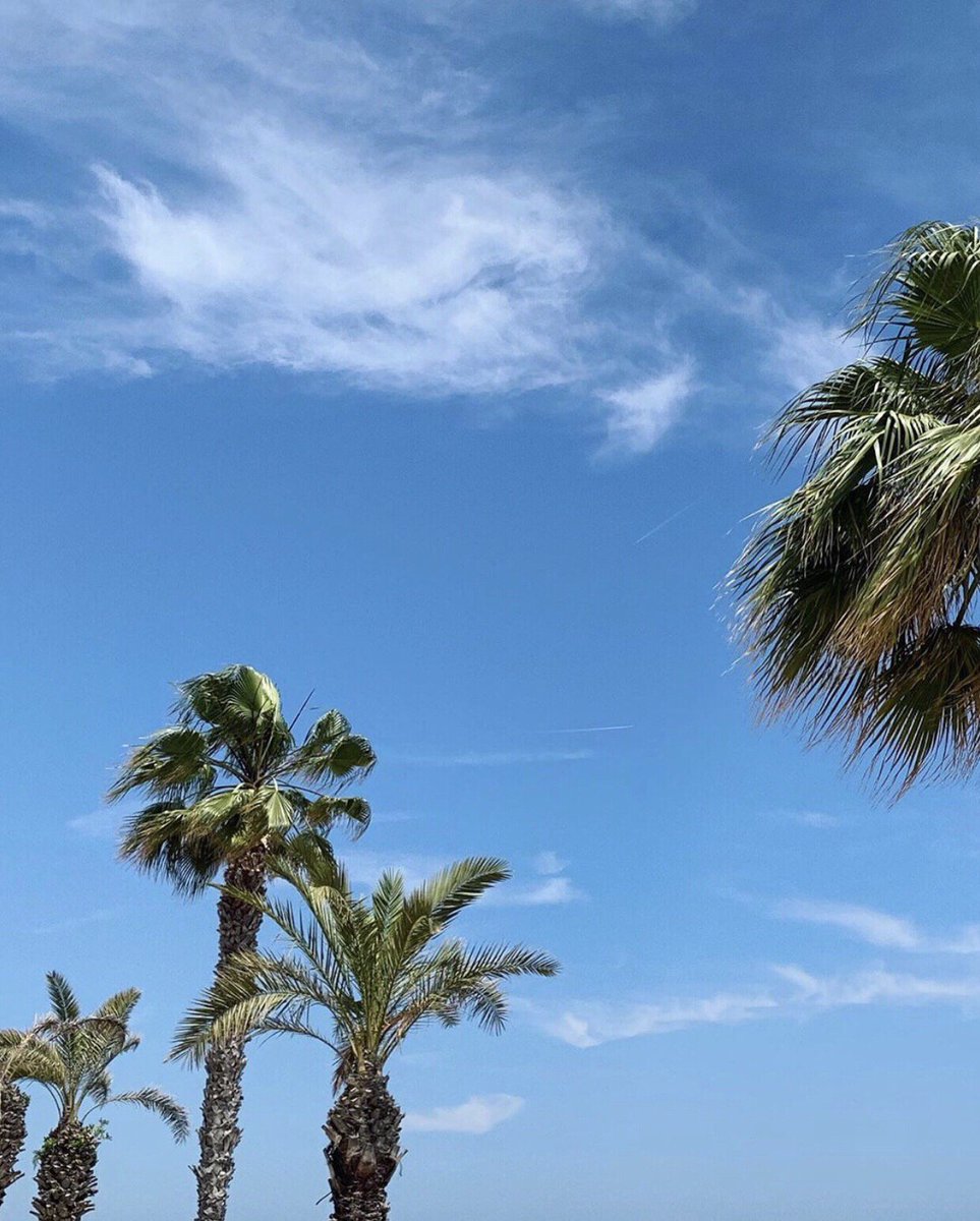 odisseapark's tweet photo. Feliz San Juan!!☀️🍹
#SantaSusanna #SantaSusana #OdisseaPark #Enjoyodissea https://t.co/FjjMgGfhZu