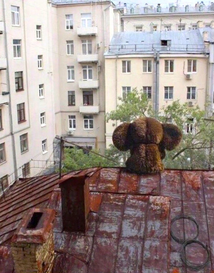 Чебурашка на крыше