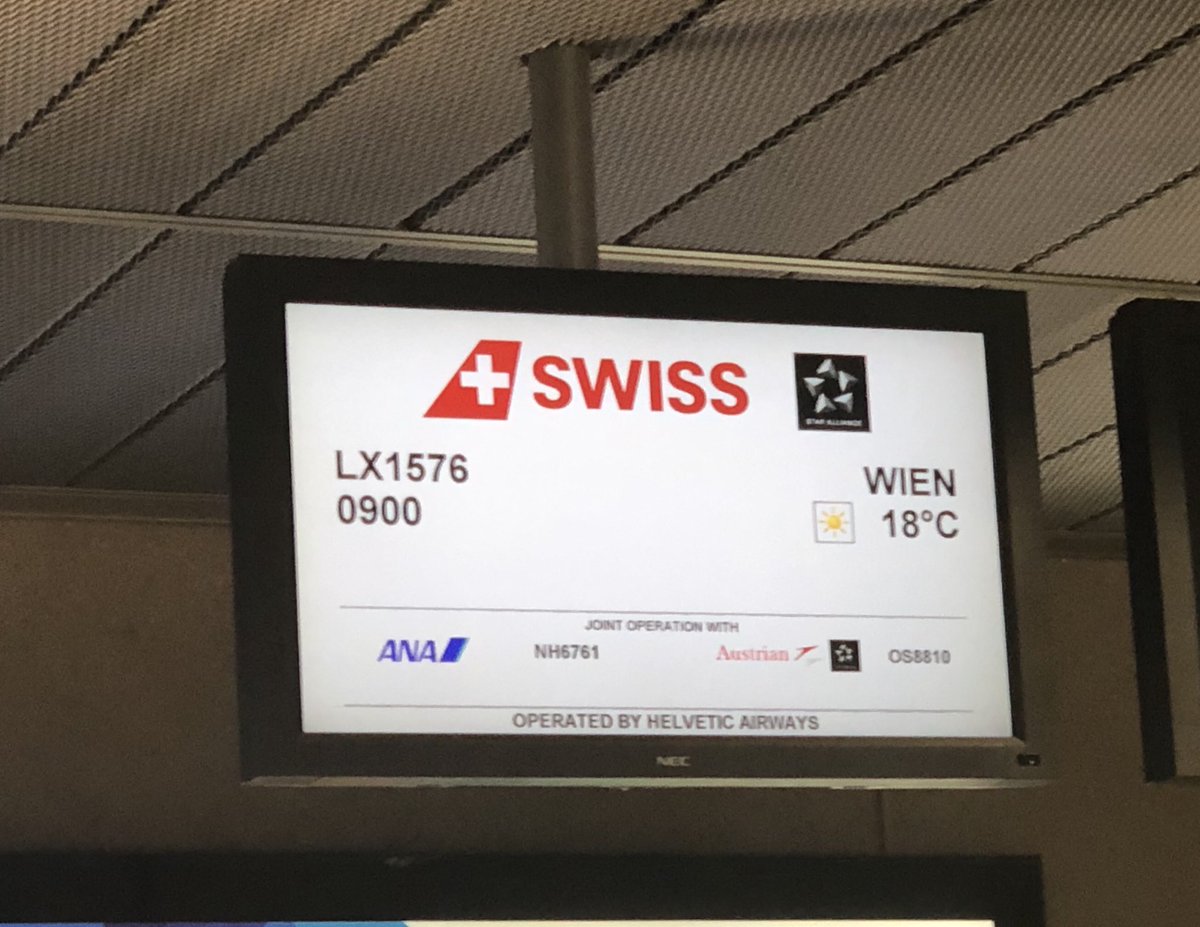 Kurz vor Abflug nach Wien zum Team Treffen 🙂☀️