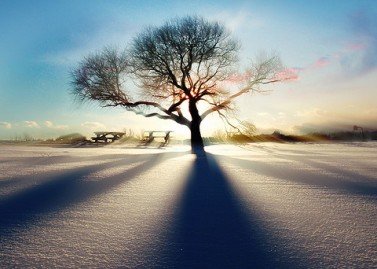 Allowing...
Reciving...
Deep breath.
I Am 
Love invites everything. 
Deep breath. ❤️🕊️❤️