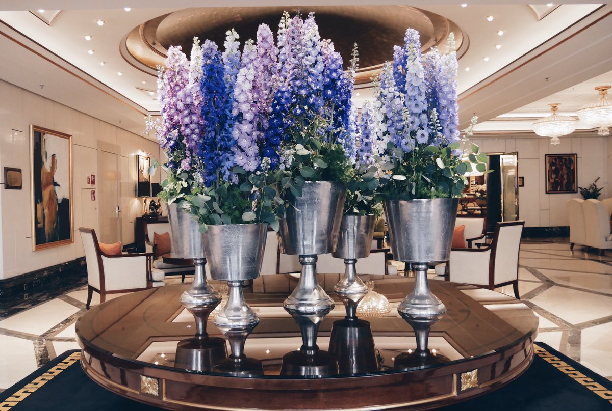 BBH_DUS's tweet photo. Wenn man genau hinhört, hört man das leise Flüstern der Blumen: "Habt eine wunderbare Woche!"
If you listen carefully, you can hear the soft whisper of the #flowers: "Have a #wonderful #week!" https://t.co/TUnEjMz2Pj