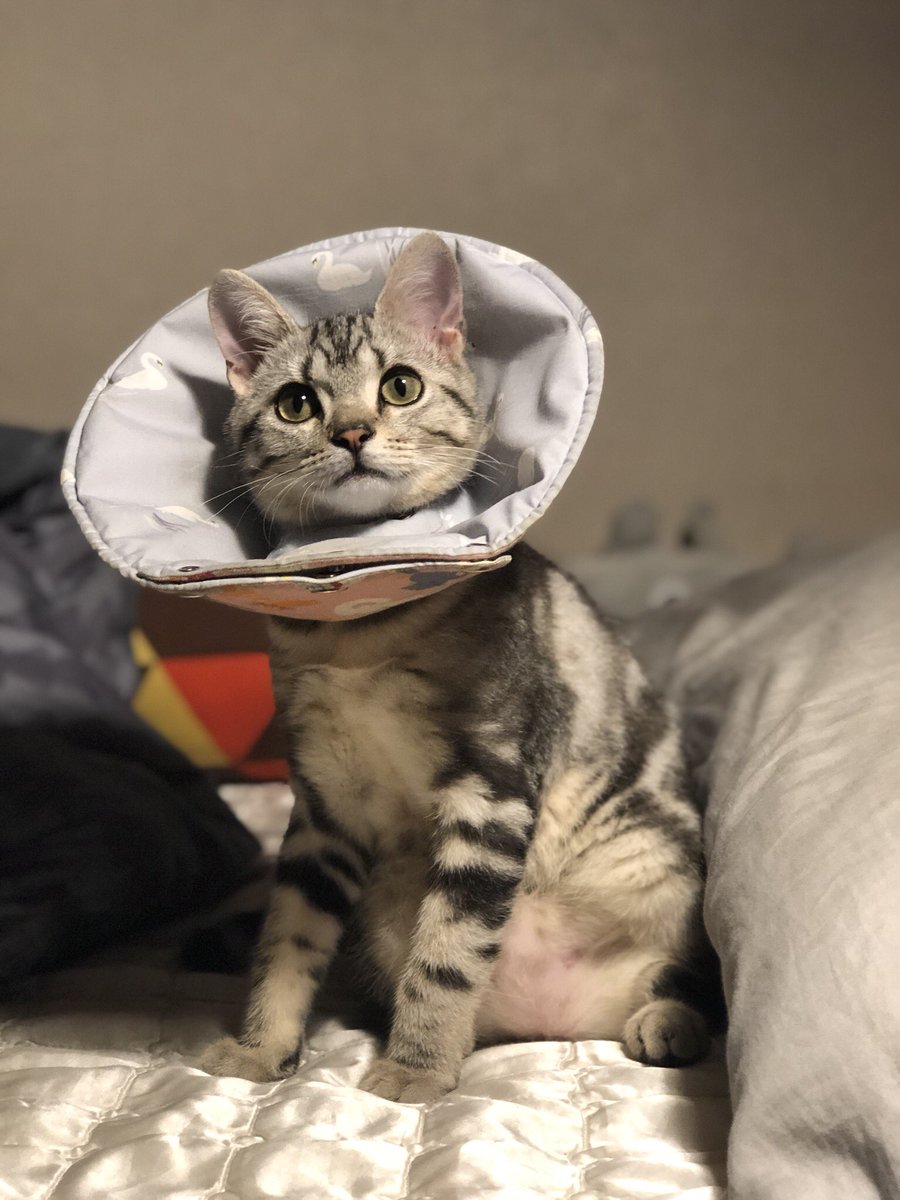 뱃쨜 쬬물 해버려~~~~~~갸악