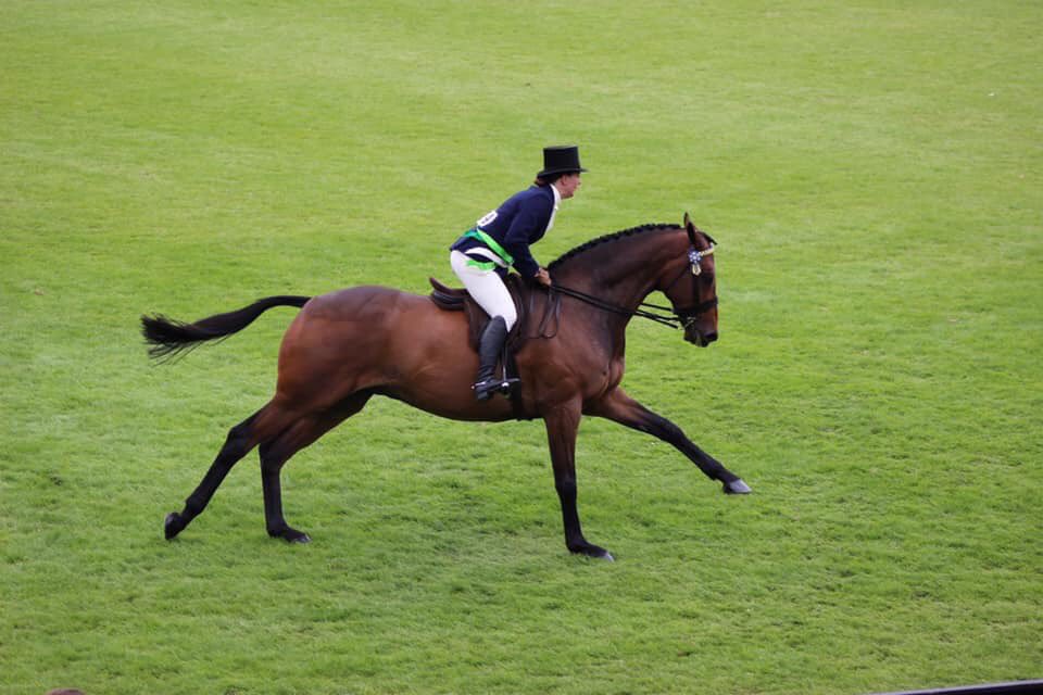 HannahBishop79's tweet photo. What an honour to gallop around the Derby fences in the @HicksteadEvents International Arena 
We are very lucky MrsP allows us to ride her beautiful horses #Annacotty #DesertJoe 
Thanks to @SophiexJane for our photos @R_L_Court https://t.co/zdqN9ppDAf