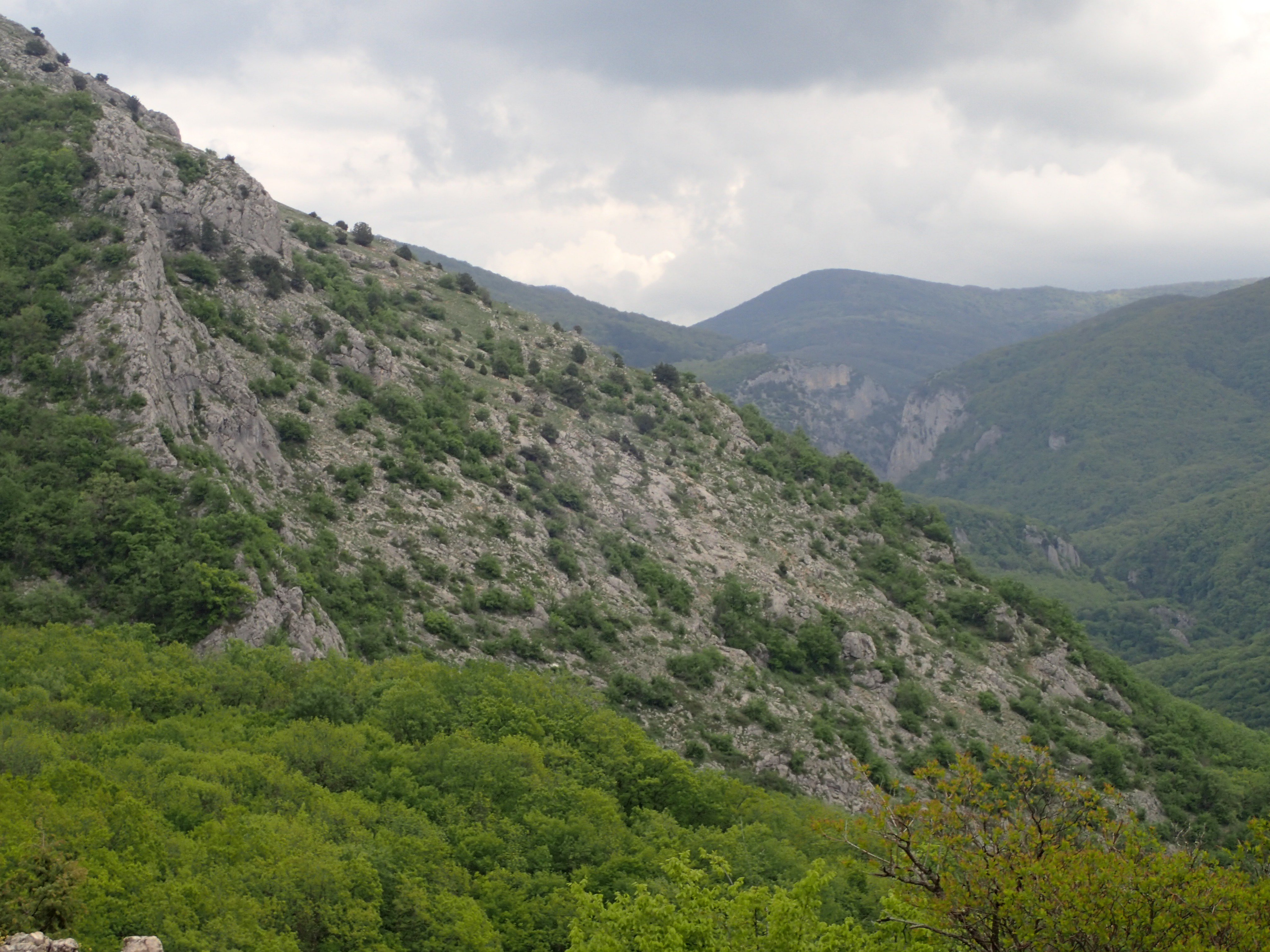 Баджарнаг Пания