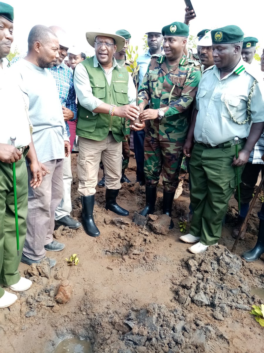 Environment_Ke's tweet photo. CS Tobiko arrives at Vanga for the launch of Vanga, Jimbo &amp; Kiwegu (Vijiki) Mangrove Forest Participatory Management Plan &amp; Vanga Blue Forest Project in Vanga Kwale County and plants a tree #PandaMitiBoreshaMaisha @KeForestService @WaterTowersKe @CapitalFMKenya https://t.co/738LfAhXgp