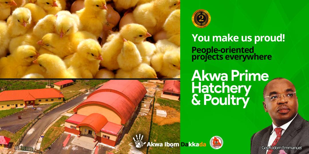 DakkadaNG's tweet photo. In two years, Governor Udom Emmanuel's industrialization agenda is already bearing fruits... https://t.co/x33W7jVHjY