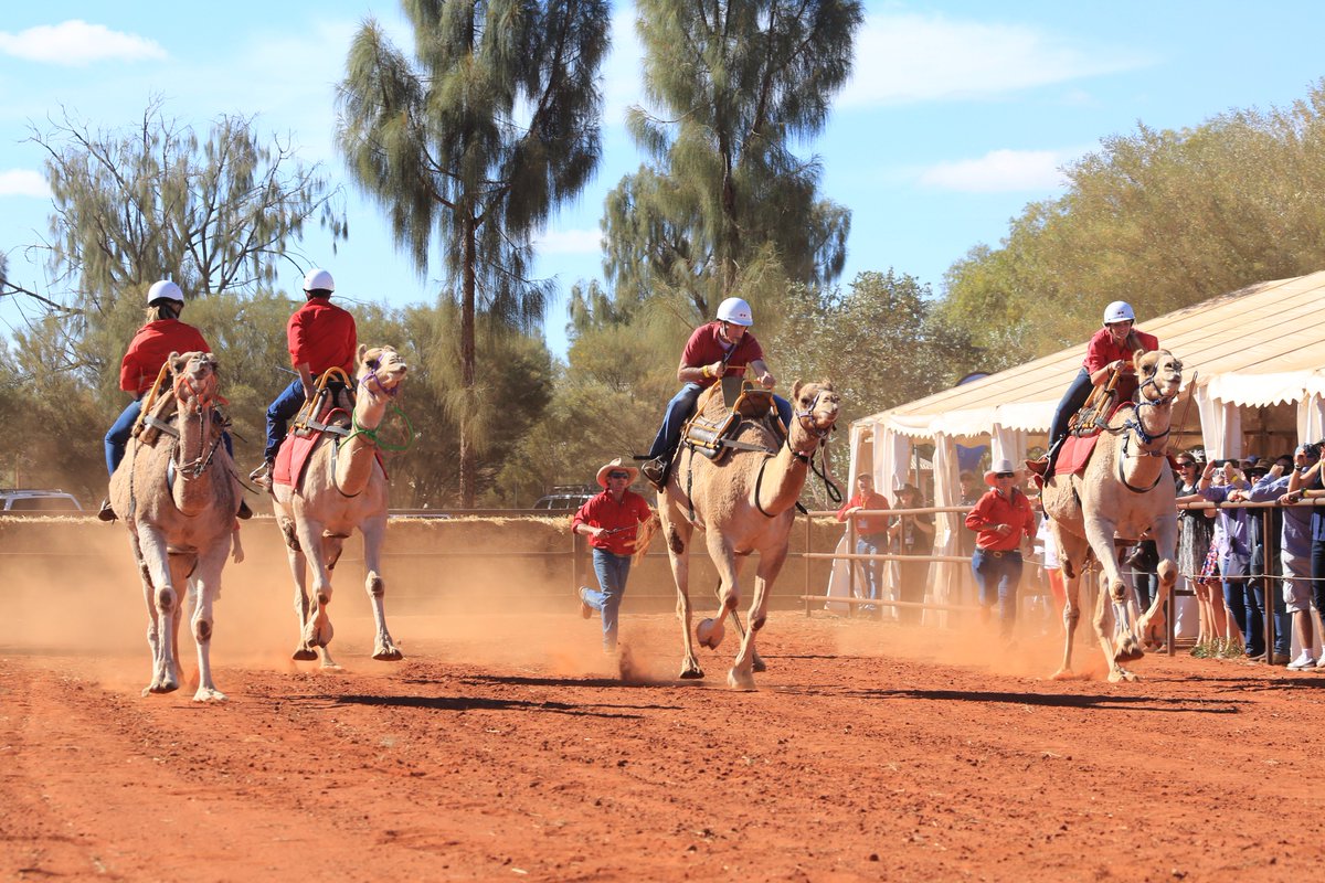 In the peaceful and remote @AusOutbackNT there’s a race that stops the nation. The #UluruCamelCup! Find out more: bit.ly/2scVyAi