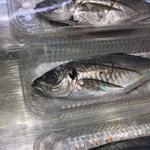 「このスーパーの魚はみんな死んだ魚の目をしている!」真剣に激オコしてるおっさん!