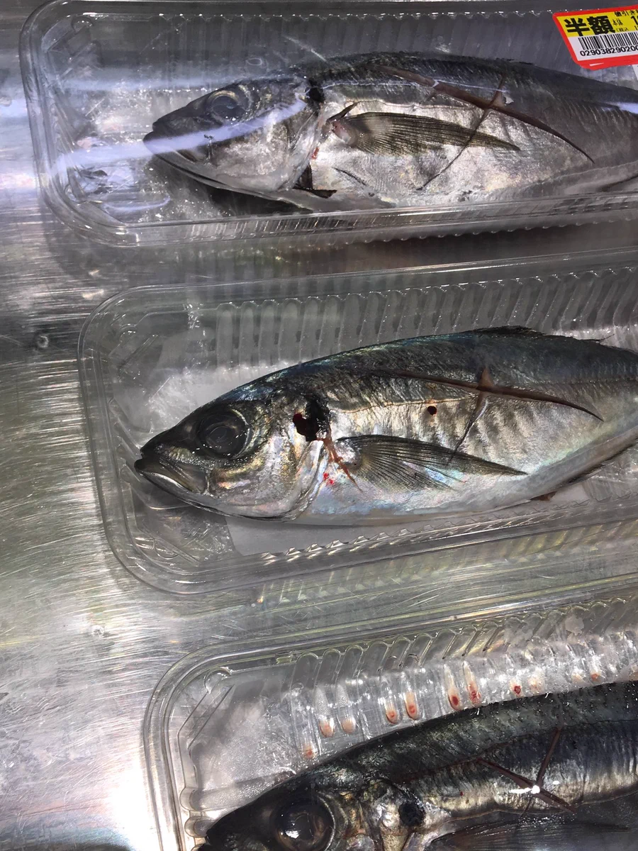 「このスーパーの魚はみんな死んだ魚の目をしている！」真剣に激オコしてるおっさんｗｗｗ