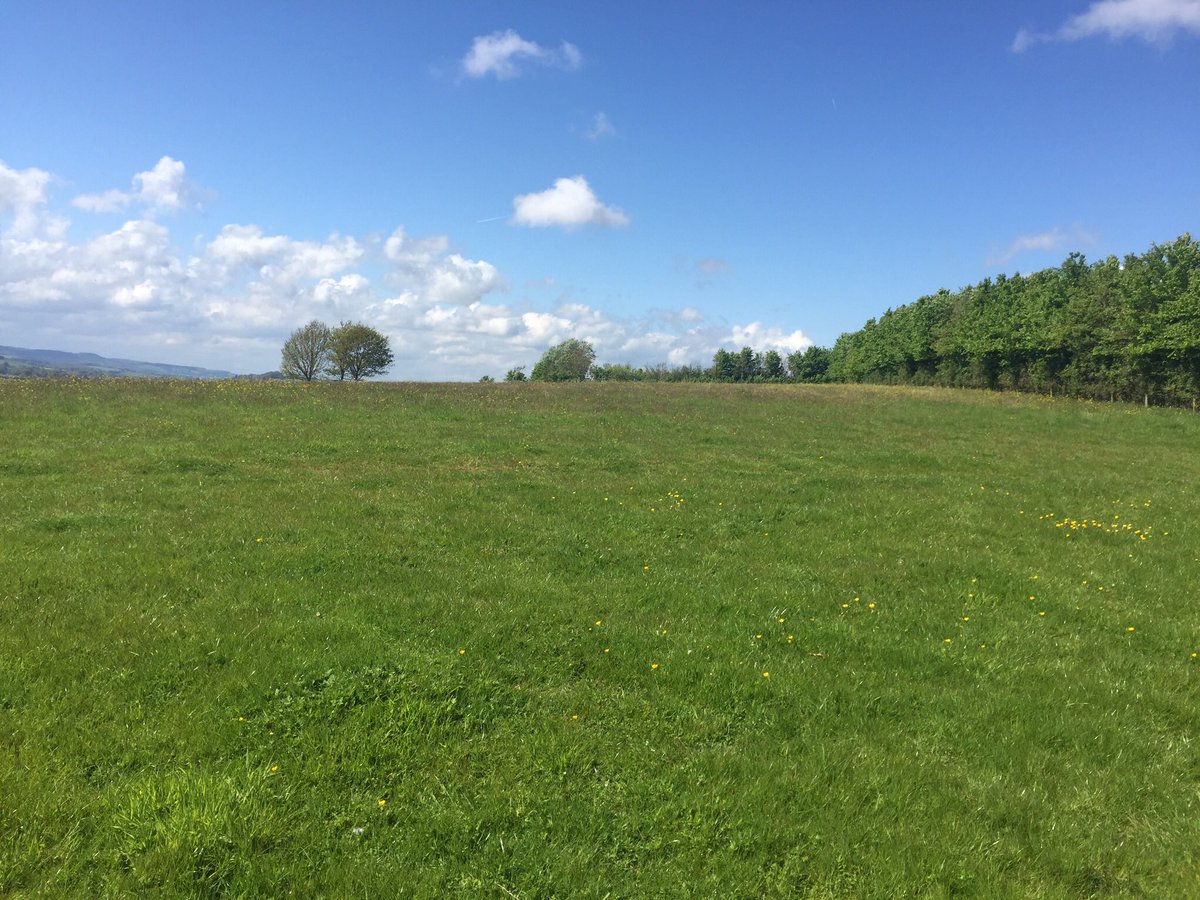 SecureDogField's tweet image. Time slots still available today, why not bring you dog for a run in the meadow and then enjoy a Cream Tea  @LowerHalsdon Farm 11:00-4:30