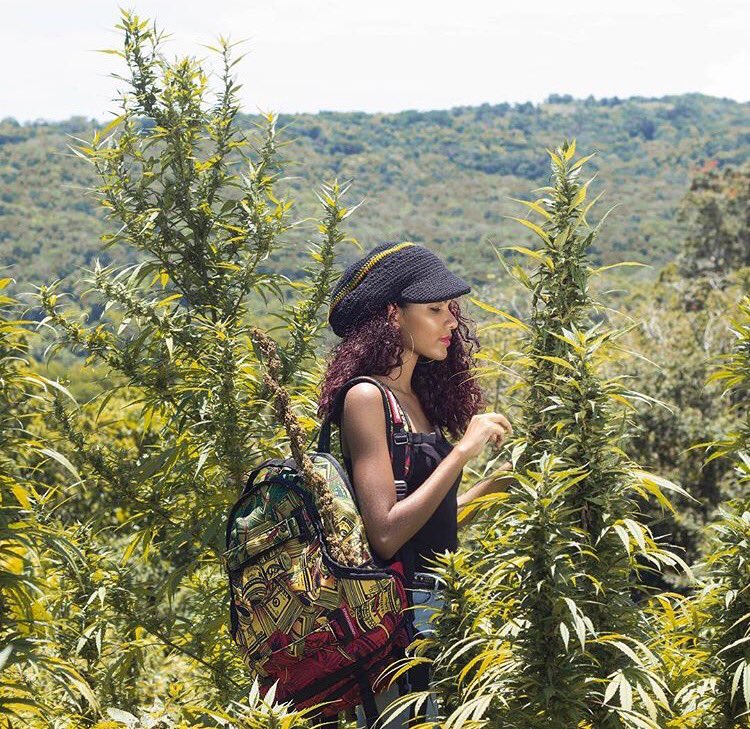 Smell The Roses 🌹 #rasta #skate