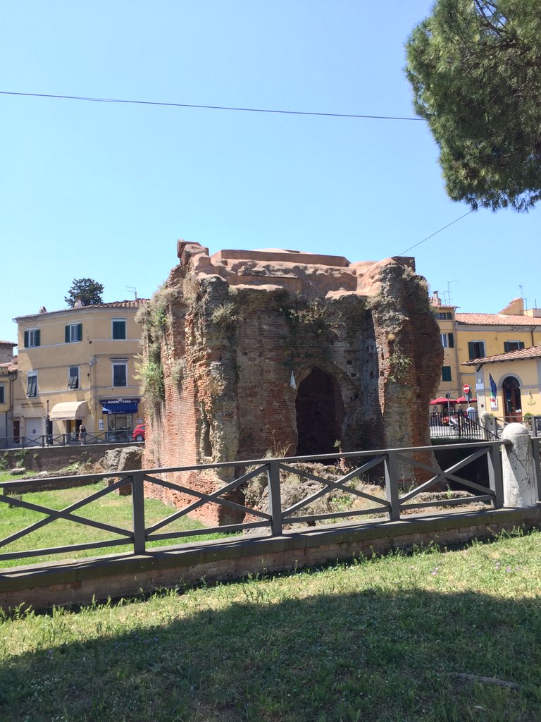 Mara Limbeck tweet media