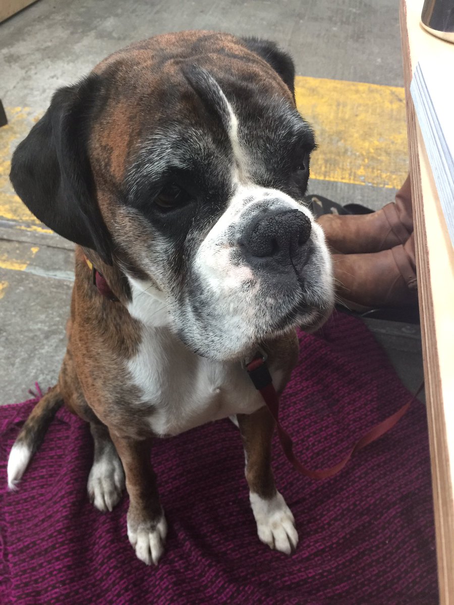 k9sheffield's tweet photo. Wet bank holiday what better than eggs benedict at the depot bakery. @TheDepotBakery https://t.co/devw6mLtb4