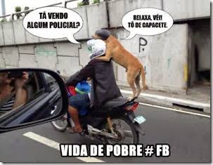 Boa noite pessoal, preciso de seguidores no Twitter e Pinterest , sigo tds de volta! 
br.pinterest.com/fernanBeta/
x.com/fernandesBetas…